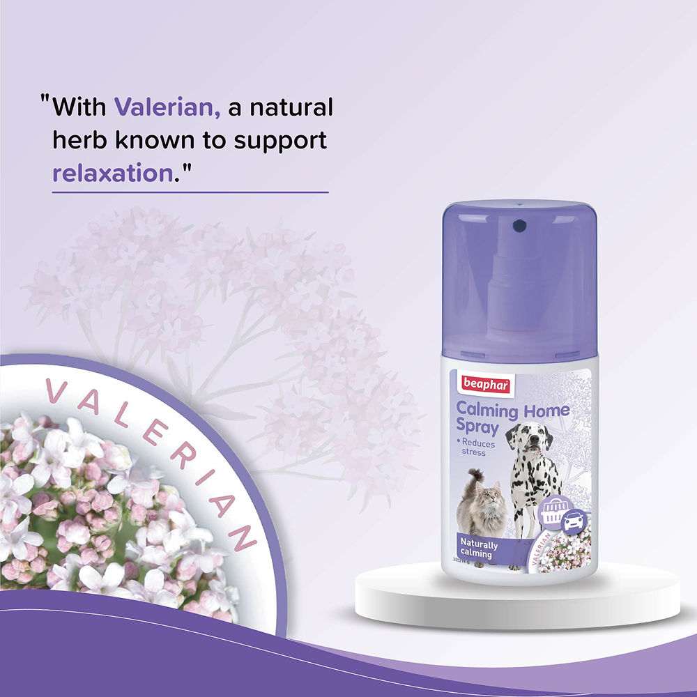 Beaphar Calming Home Spray for Dogs and Cats — side view
