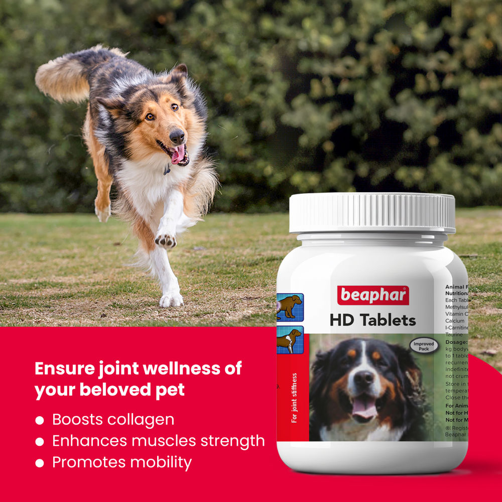 Beaphar Hd Tablets For Dogs Copy - Image 3