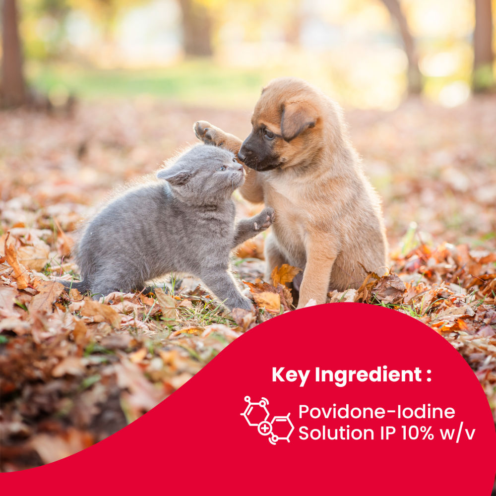 Beaphar Povidone Iodine Wound Healing Spray for Dogs and Cats — back view