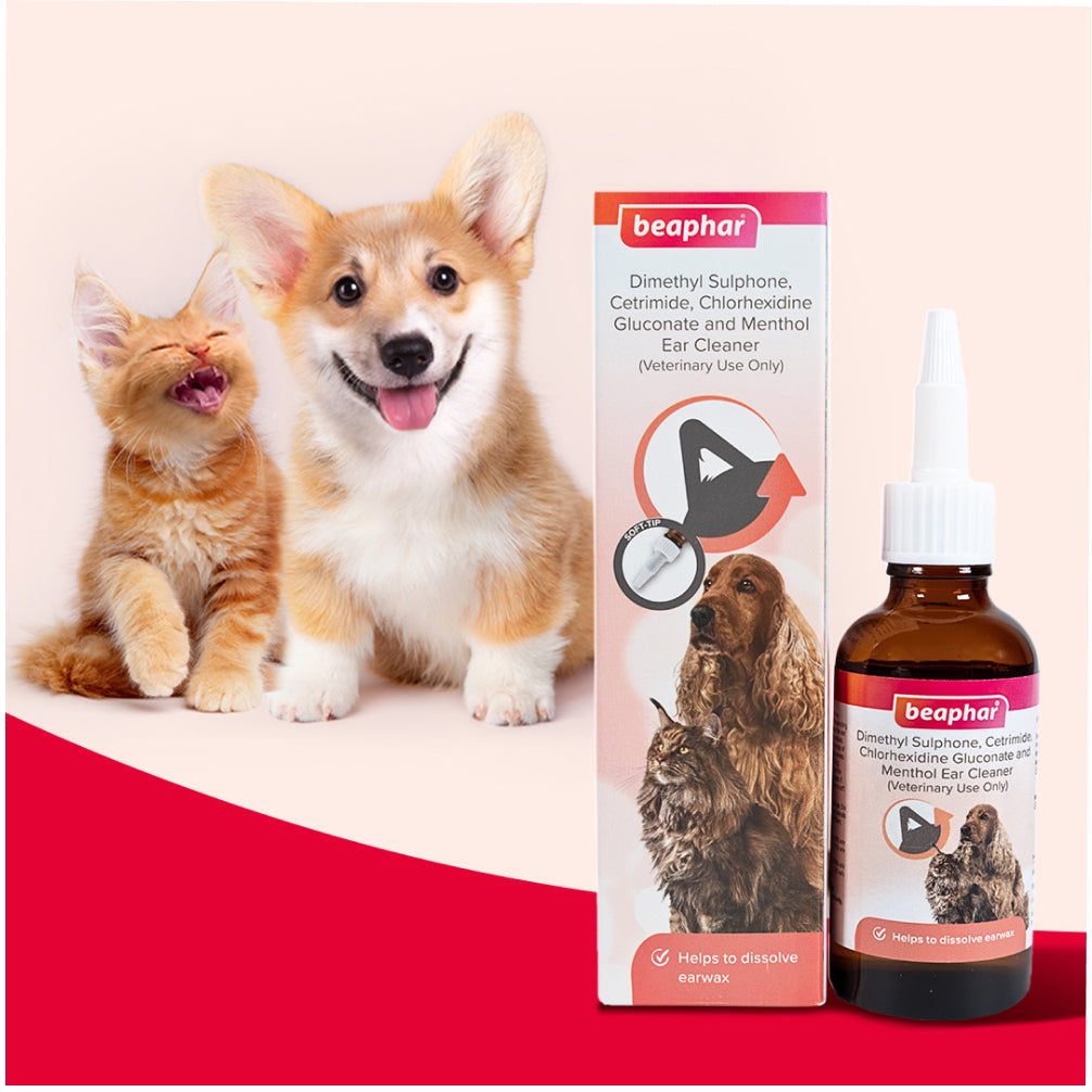 Beaphar Ear Cleaner for Dogs and Cats — in use