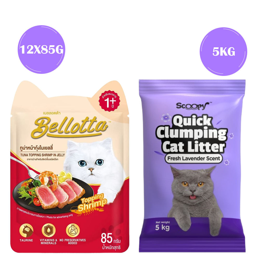 Bellotta Tuna Topping Shrimp in Jelly Cat Wet Food — in use