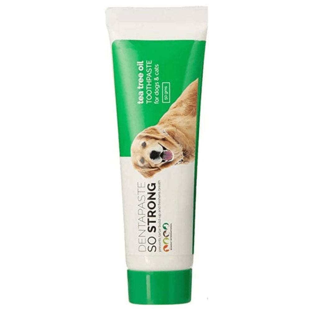 BI Grooming So Strong Dentapaste with Brush for Dogs and Cats — side view