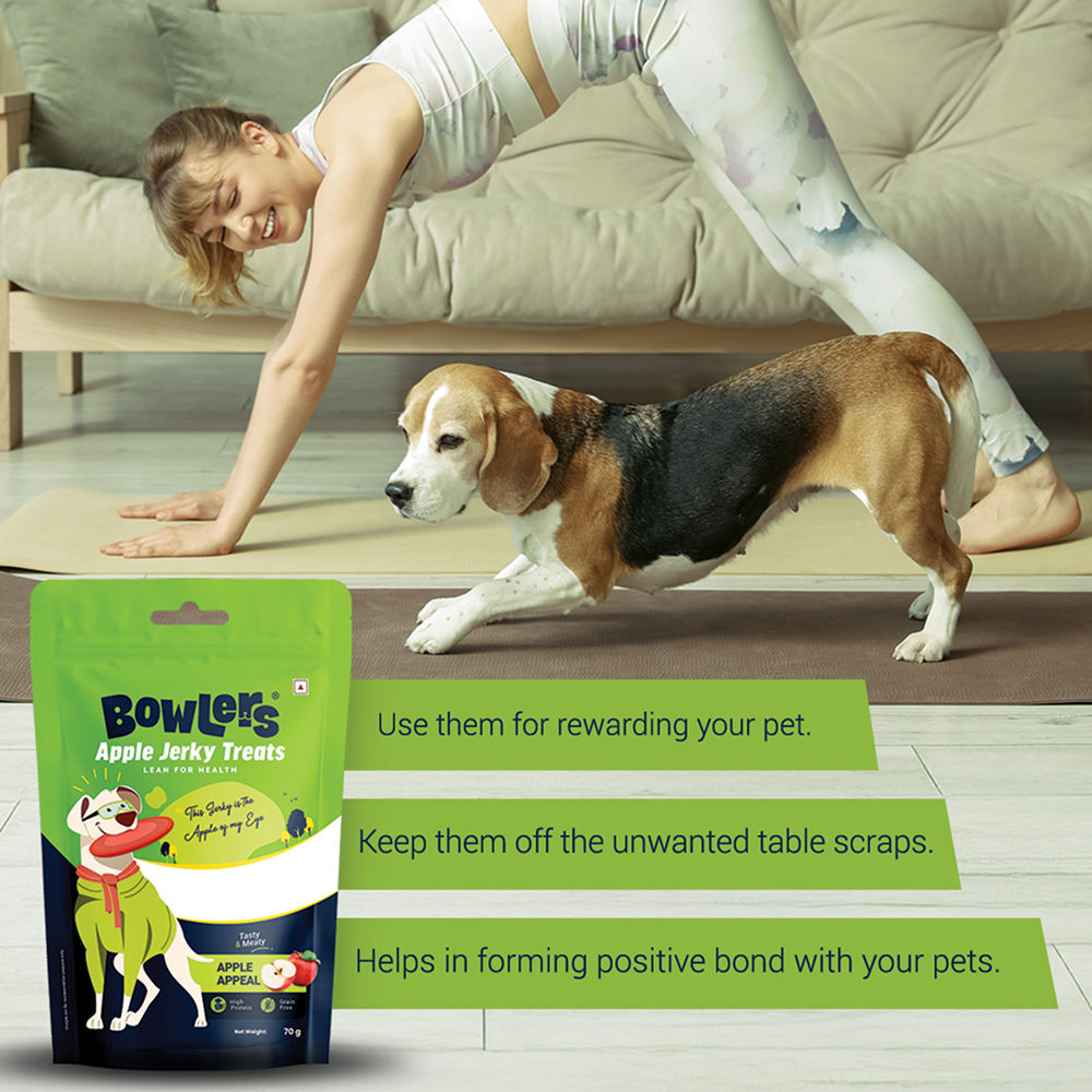 Bowlers Apple Jerky Dog Treats — in use