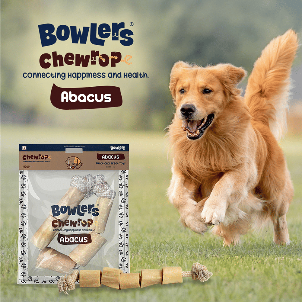 Bowlers Chewrope Abacus Functional Dog Treat Toy — side view