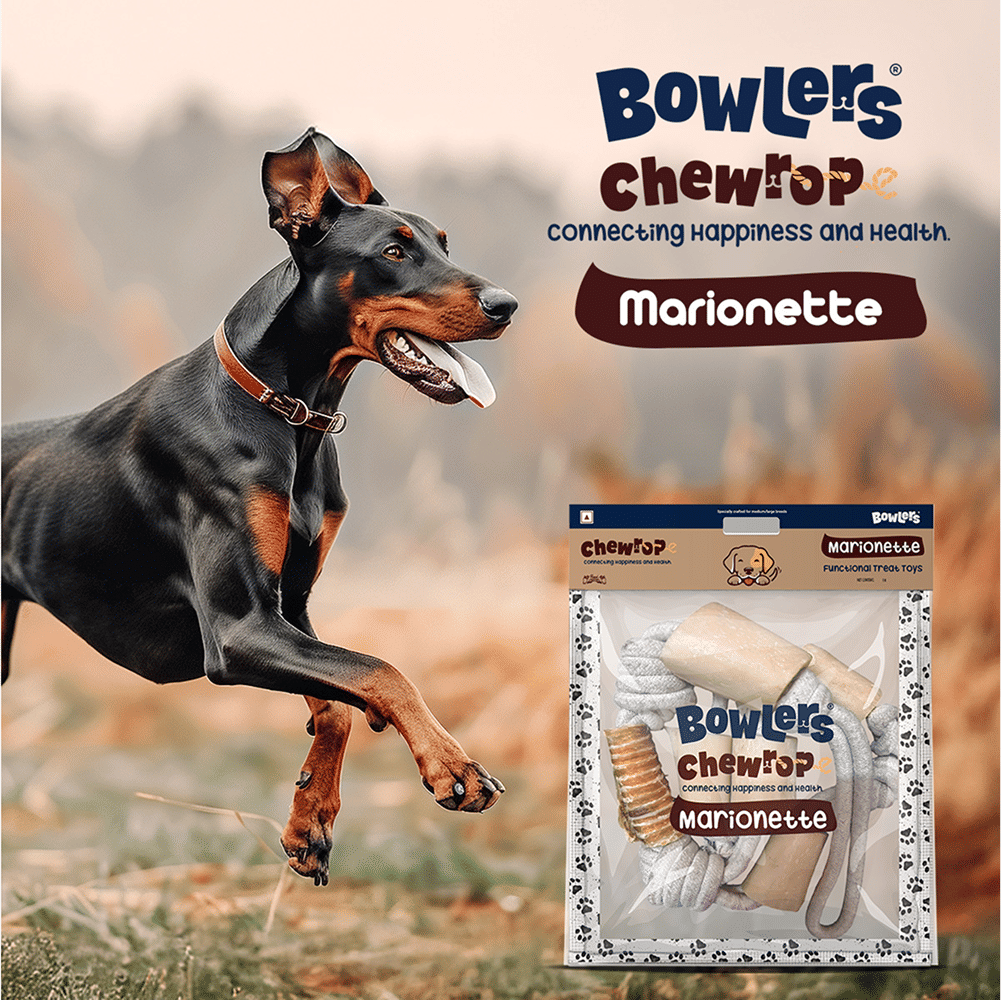 Bowlers Chewrope Marionette Rope Chew Functional Dog Treat Toy — back view
