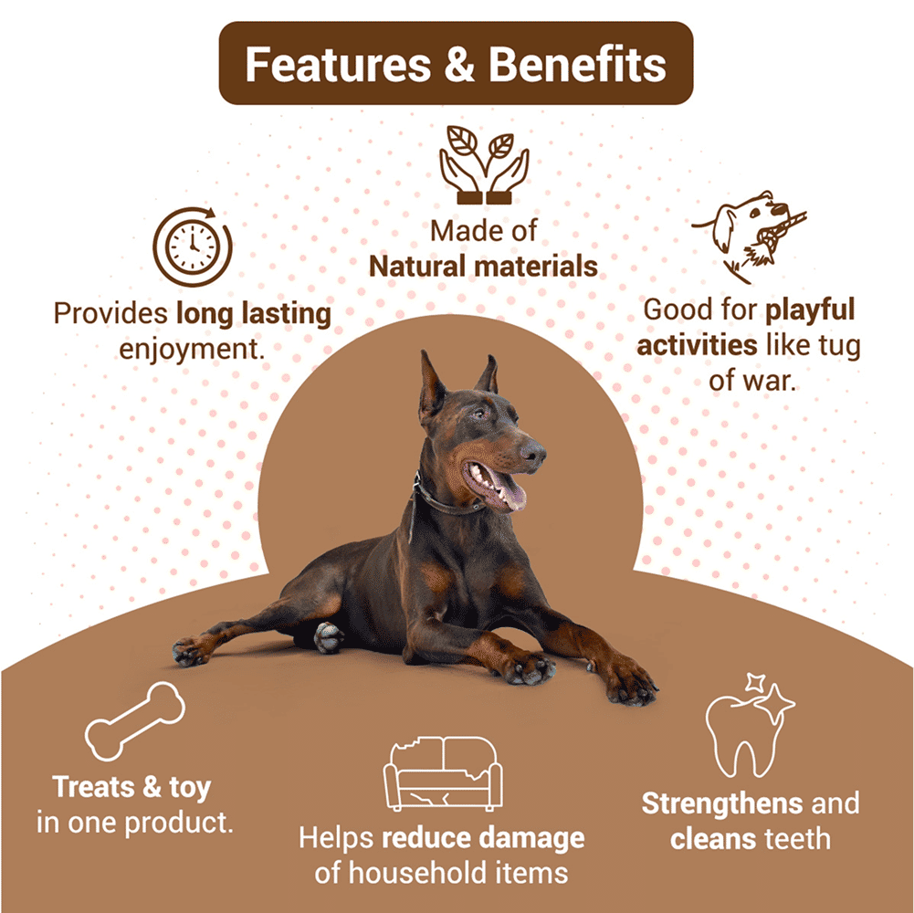 Bowlers Chewrope Marionette Rope Chew Functional Dog Treat Toy — in use