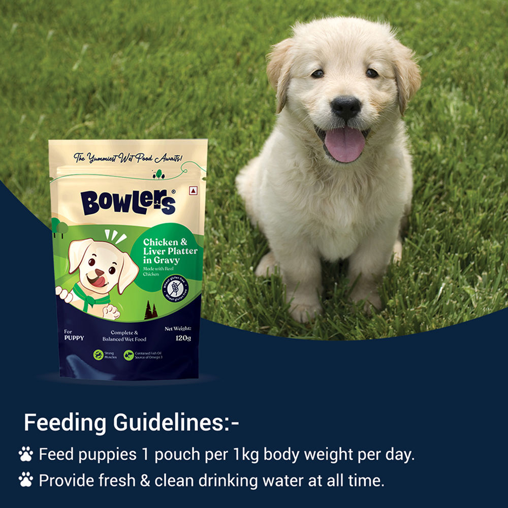 Bowlers Chicken and Liver Recipe in Gravy Puppy Dog Wet Food — in use