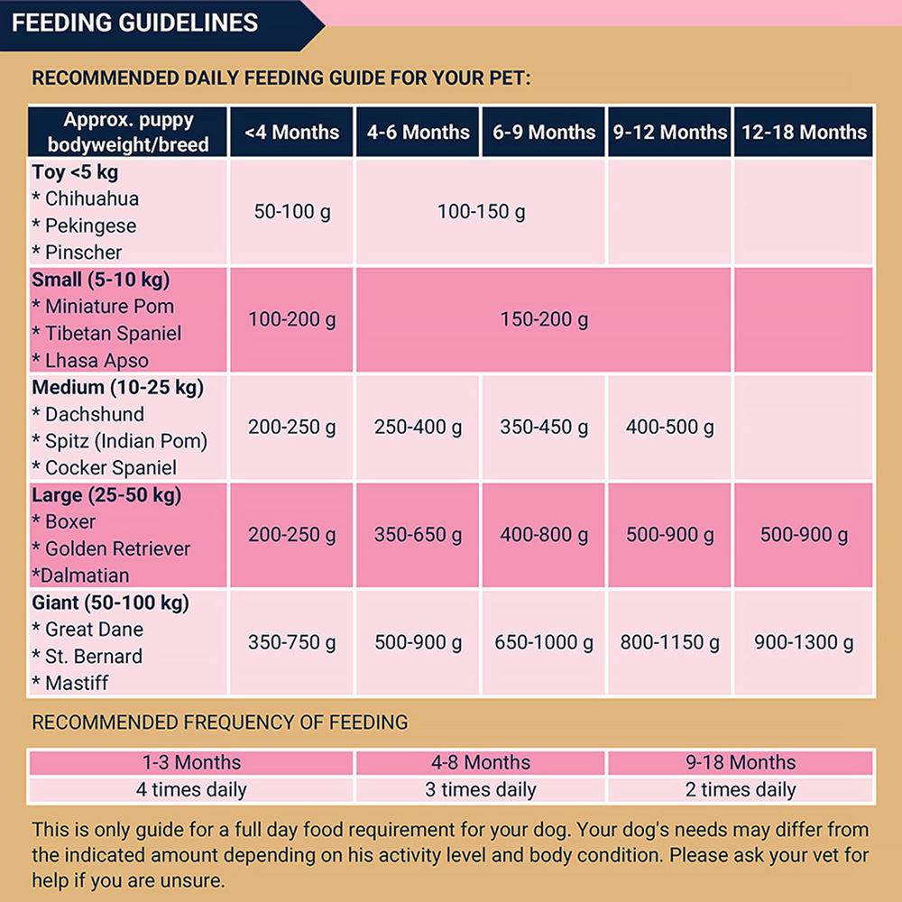 Bowlers Chicken and Milk Nutrimax Puppy Dog Dry Food — in use