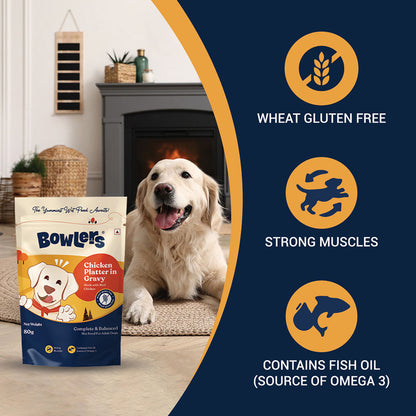 Bowlers Chicken Recipe in Gravy Dog Wet Food — side view
