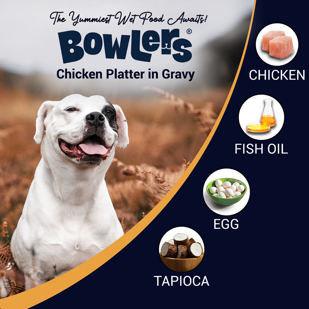 Bowlers Chicken Recipe in Gravy Dog Wet Food — back view