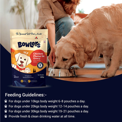 Bowlers Chicken Recipe in Gravy Dog Wet Food — in use