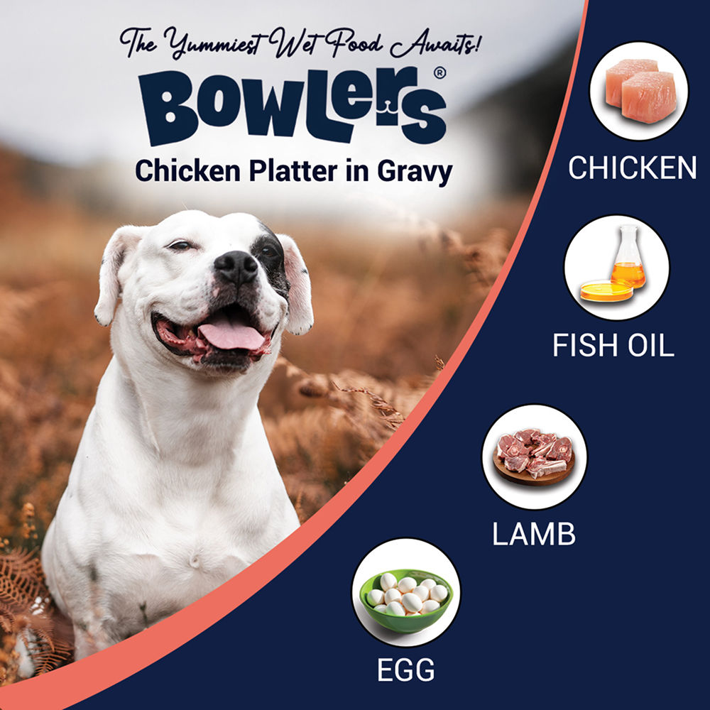 Bowlers Lamb in Gravy Adult Dog Wet Food — back view