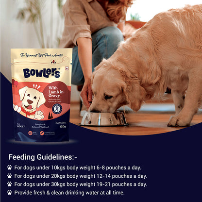 Bowlers Lamb in Gravy Adult Dog Wet Food — in use