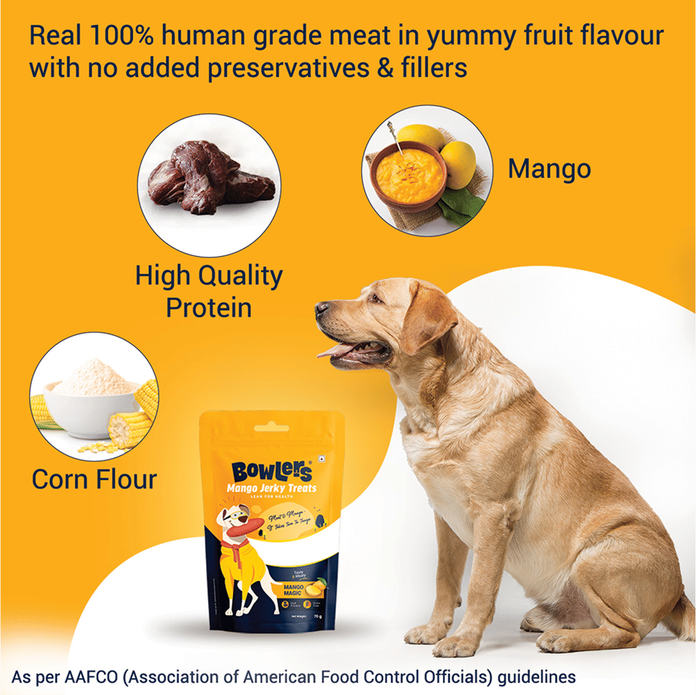 Bowlers Mango Jerky Dog Treats — side view