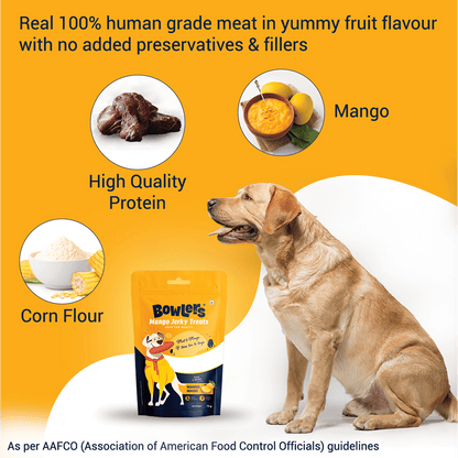Bowlers Mango Jerky Dog Treats — side view