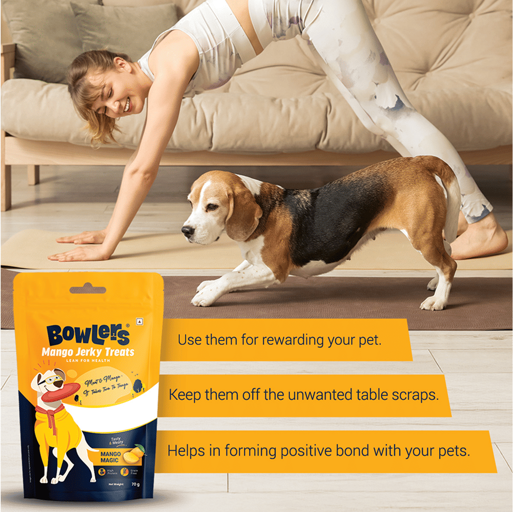 Bowlers Mango Jerky Dog Treats — in use