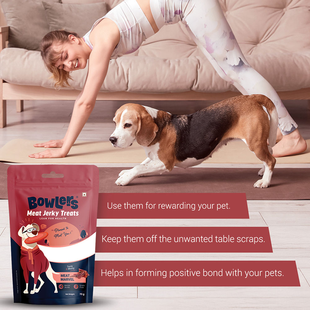 Bowlers Meat Jerky Dog Treats — back view