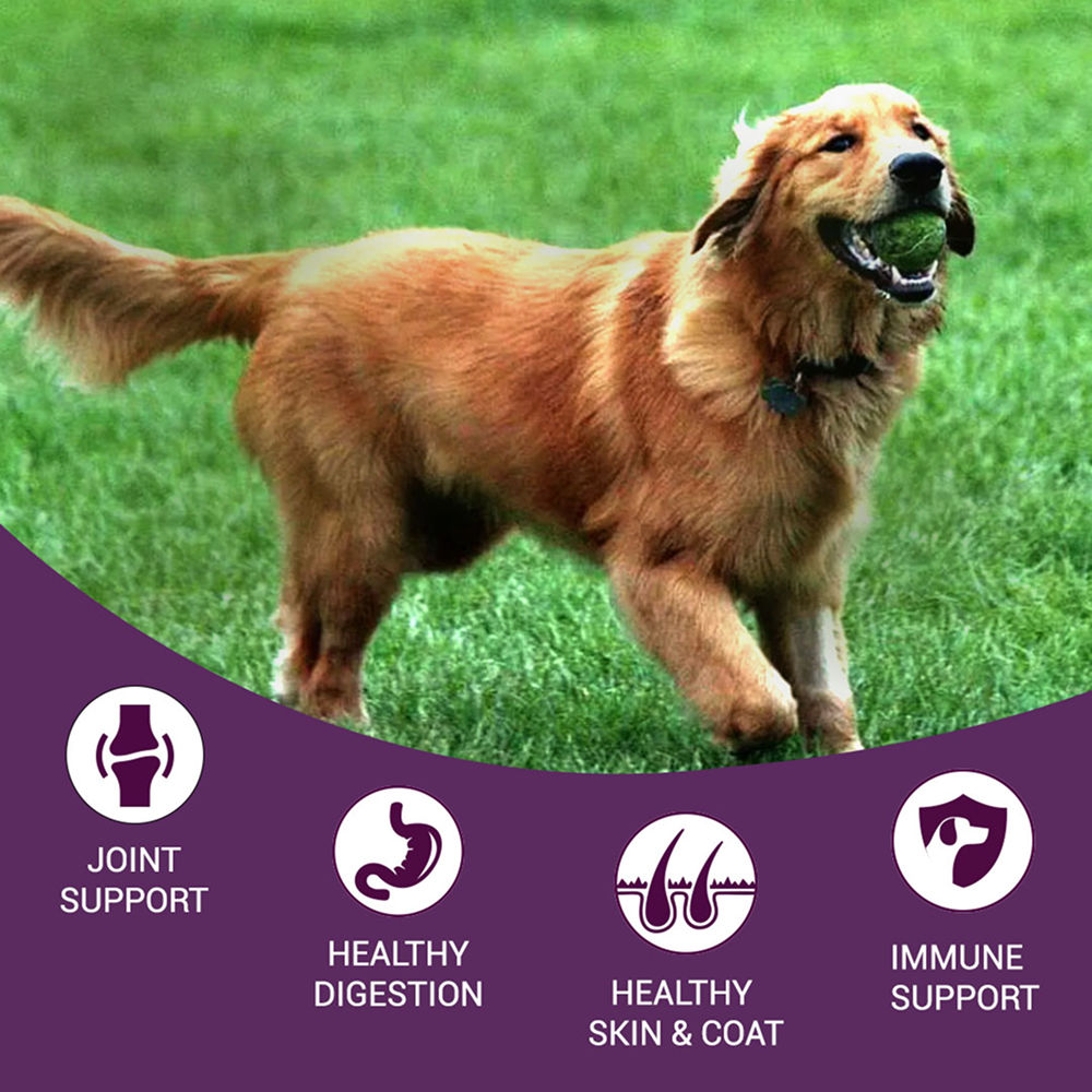 Bowlers Nutrimax Chicken and Vegetables Adult Dog Dry Food — back view