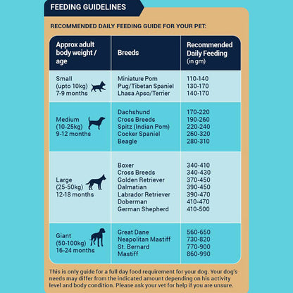 Bowlers Nutrimax Chicken and Vegetables Adult Dog Dry Food — in use