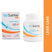 Candioli Besame Tablet 200 Liver Supplement For Dogs And Cats - Image 2