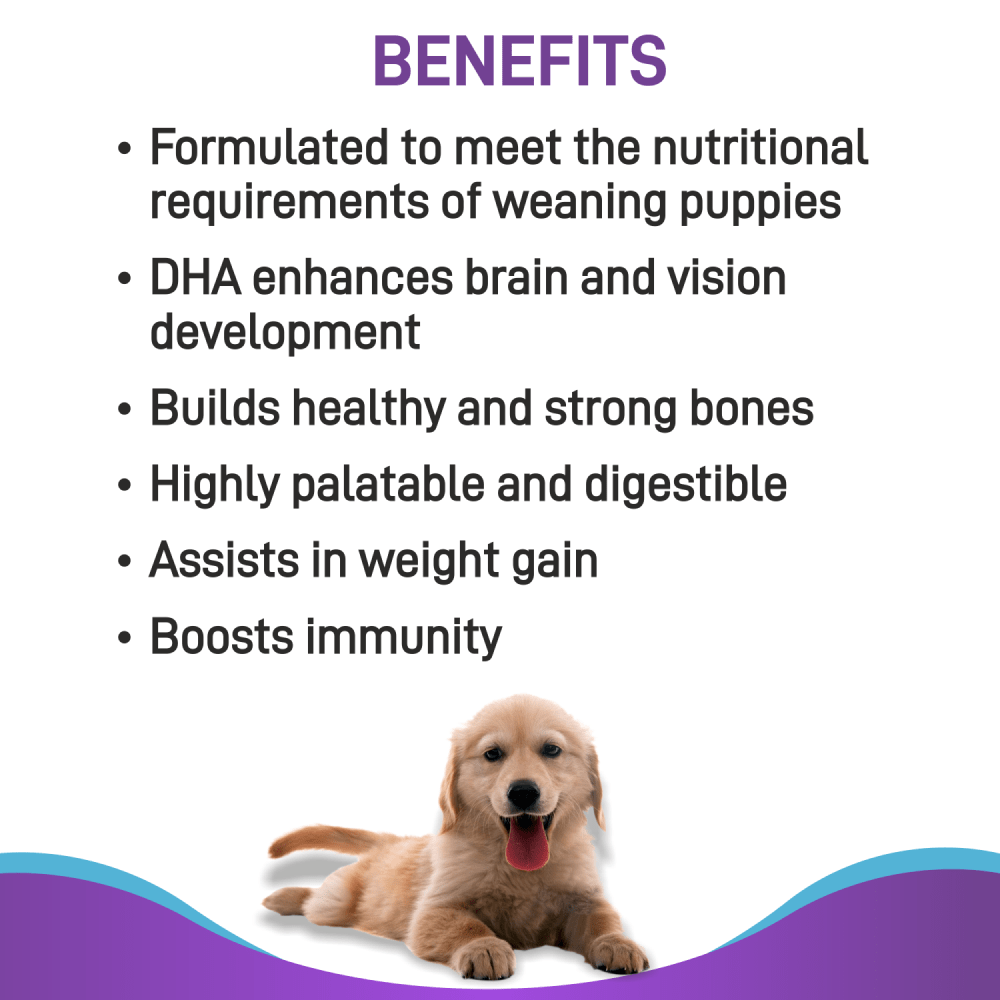 Canine Creek Pup Booster Puppy Weaning Diet for All Breeds — back view