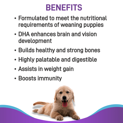 Canine Creek Pup Booster Puppy Weaning Diet for All Breeds — back view