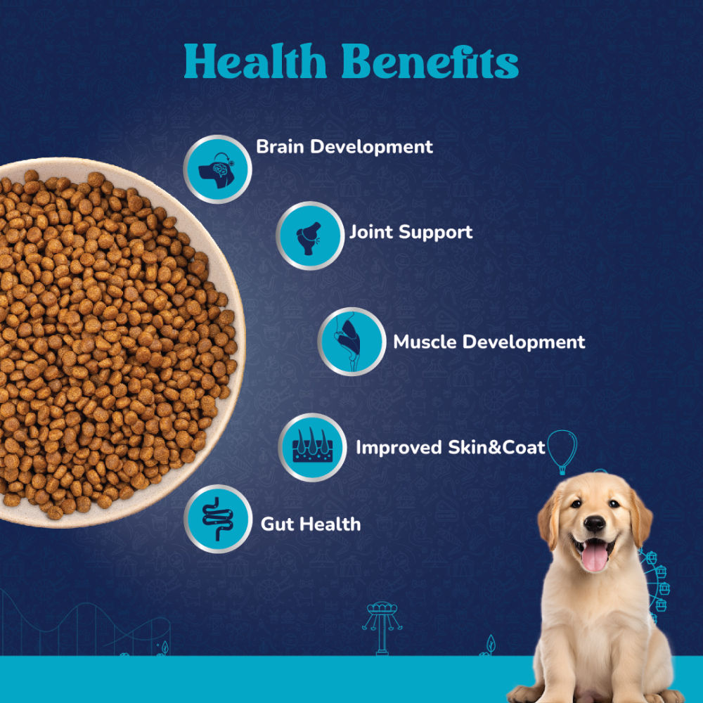 Carniwel Fresh Chicken Kibble Large Breed Puppy Dog Dry Food — detail shot