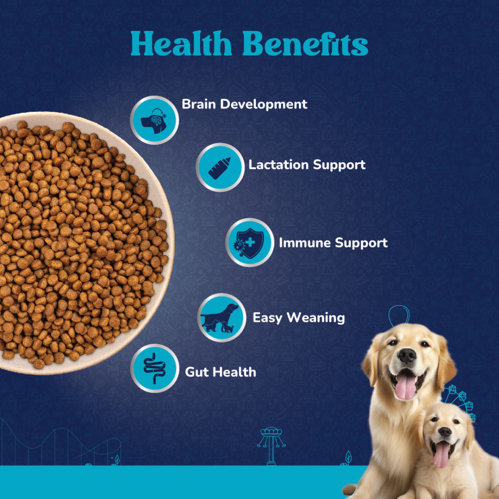 Carniwel Fresh Chicken Kibble Large Breed Starter Dog Dry Food — in use