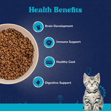 Carniwel Fresh Fish And Shrimp For Kitten Cat Dry Food - Image 2