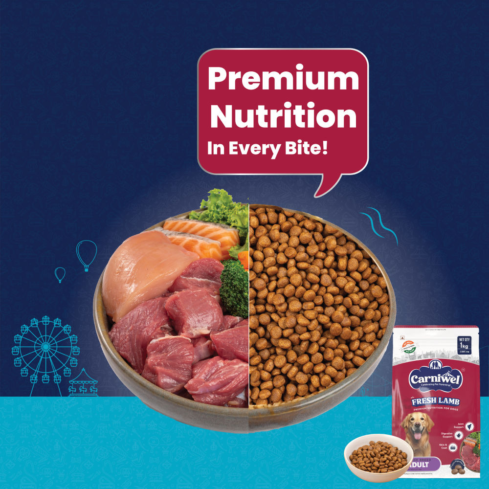 Carniwel Fresh Lamb Large Breed Adult Dog Dry Food — side view