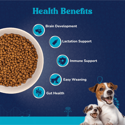 Carniwel Superfoods Veg Kibble Starter For Small Breed Mother & Baby Dog Dry Food — detail shot