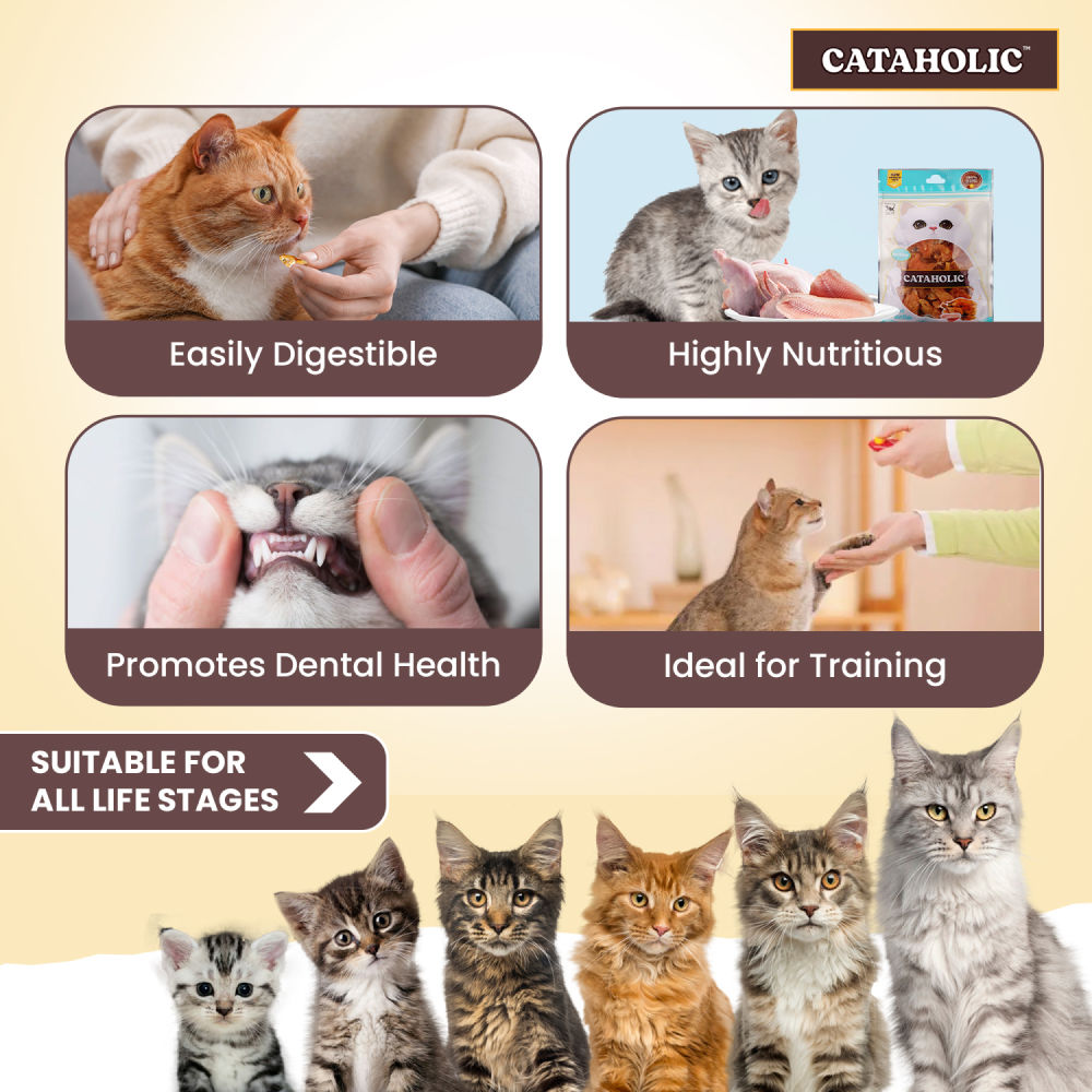 Cataholic Soft Chicken and Sunfish Spiral Cat Treats — detail shot