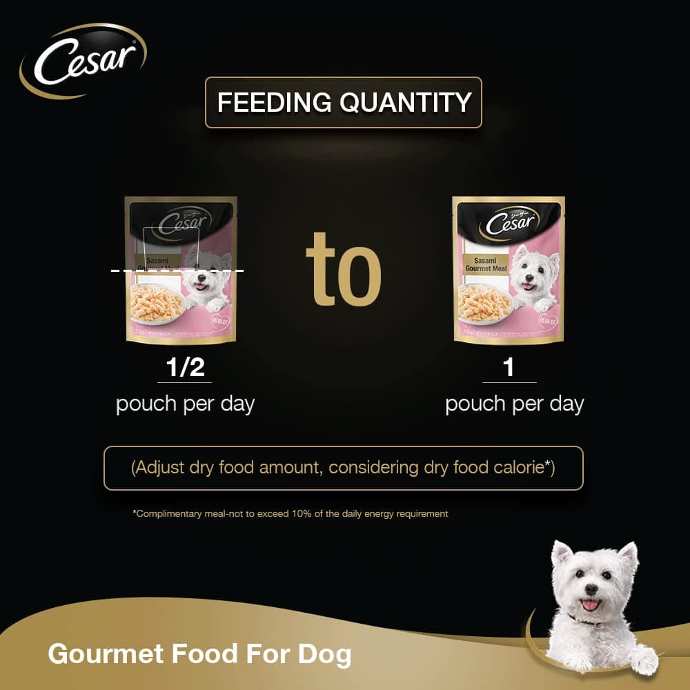 Cesar Adult Sasami Dog Wet Food — in use