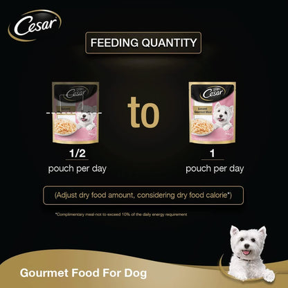 Cesar Adult Sasami Dog Wet Food — in use