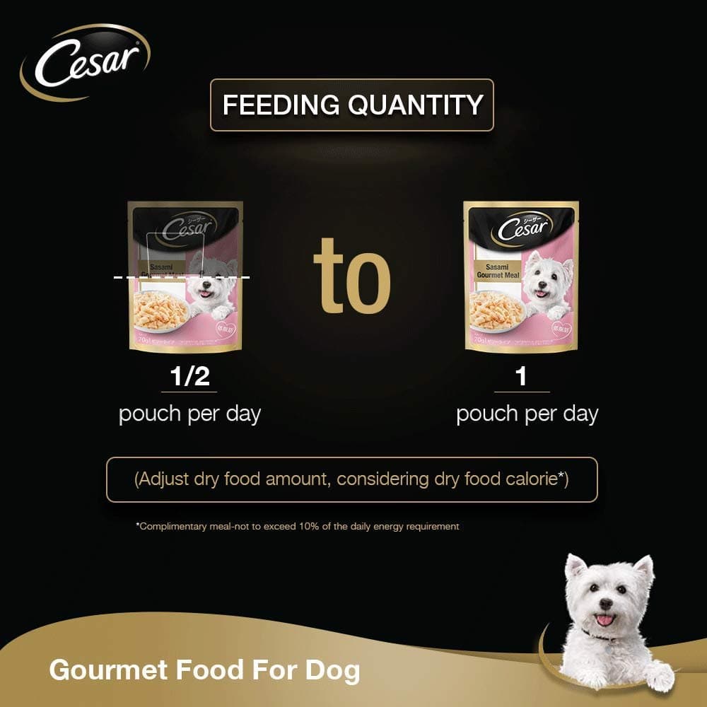 Cesar Sasami & Vegetables in Jelly Adult Dog Wet Food — in use