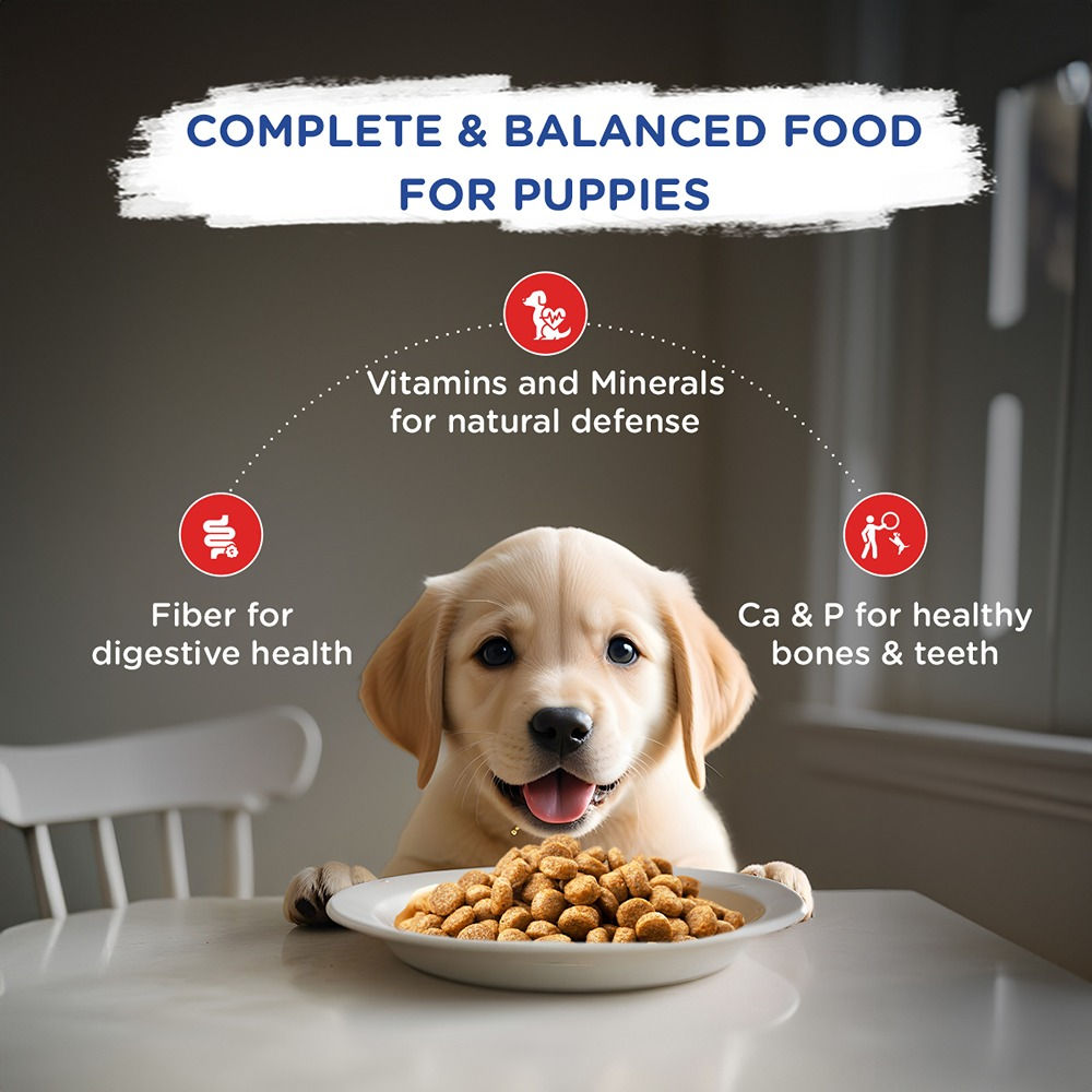 Chappi Chicken & Milk Dry Puppy Food — back view