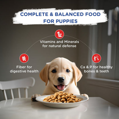 Chappi Chicken & Milk Dry Puppy Food — back view