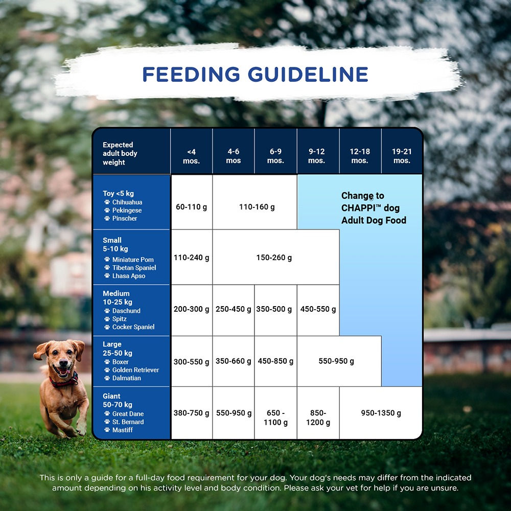 Chappi Chicken & Milk Dry Puppy Food — in use