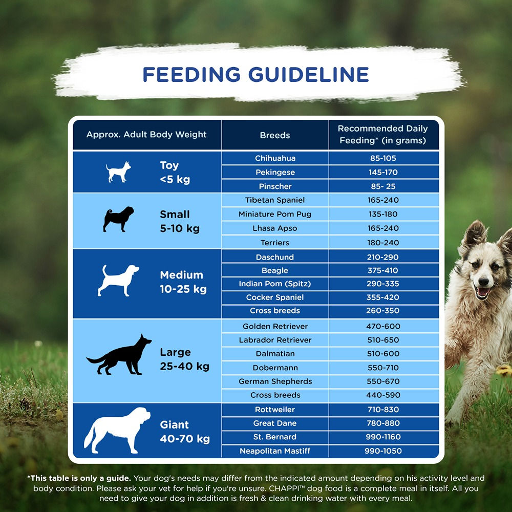 Chappi Chicken & Rice Adult Dog Dry Food — detail shot