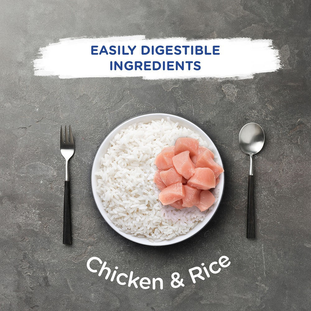 Chappi Chicken & Rice Adult Dog Dry Food — in use