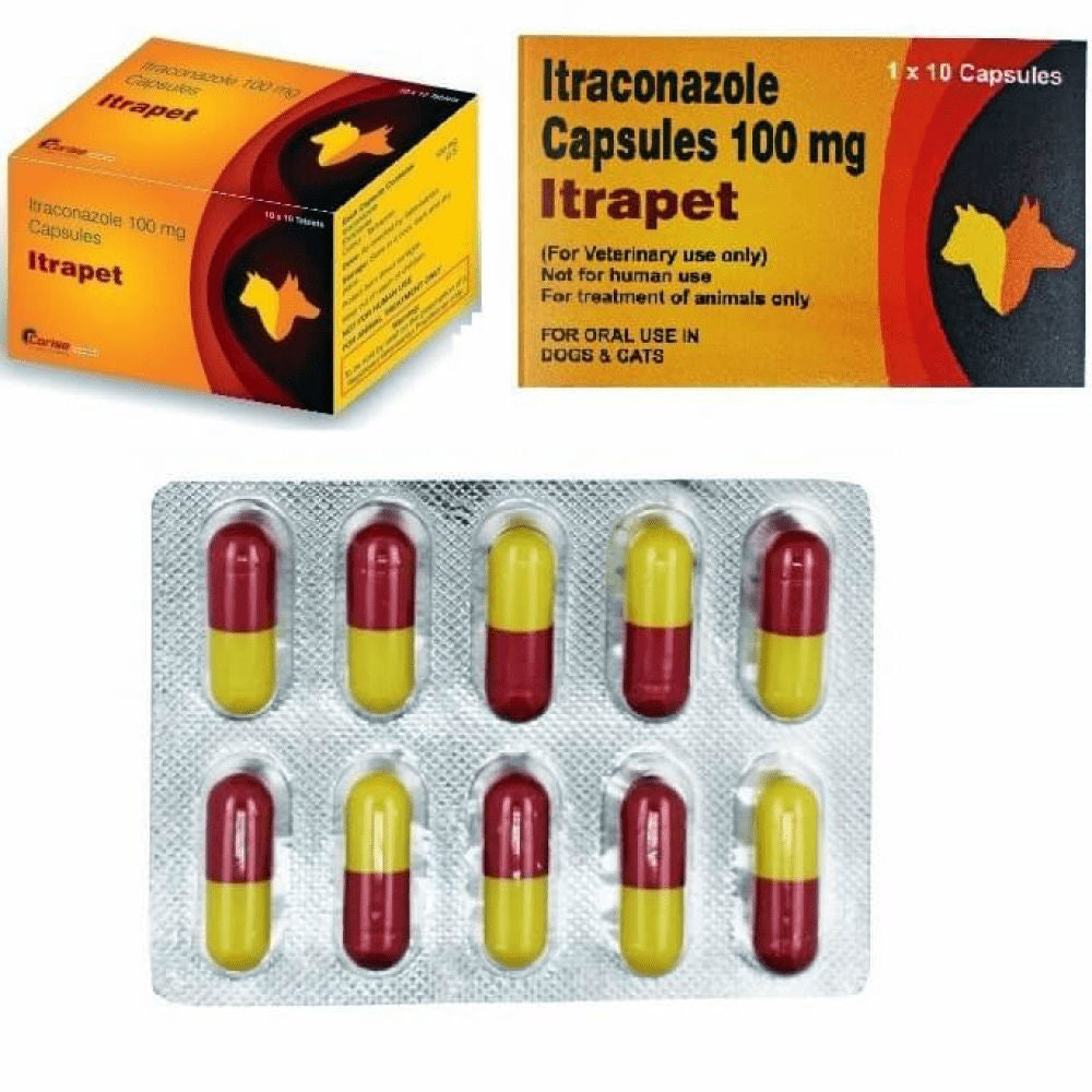 corise-itrapet-tablet 2 strip (20 tablets)