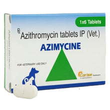 Corise Azimycine 500Mg Tablet For Dogs And Cats - Image 2