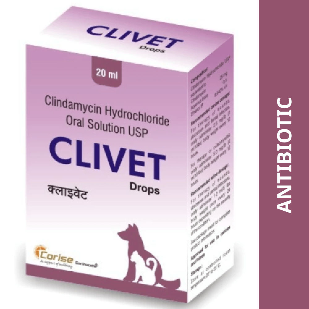 Corise Clivet Suspension