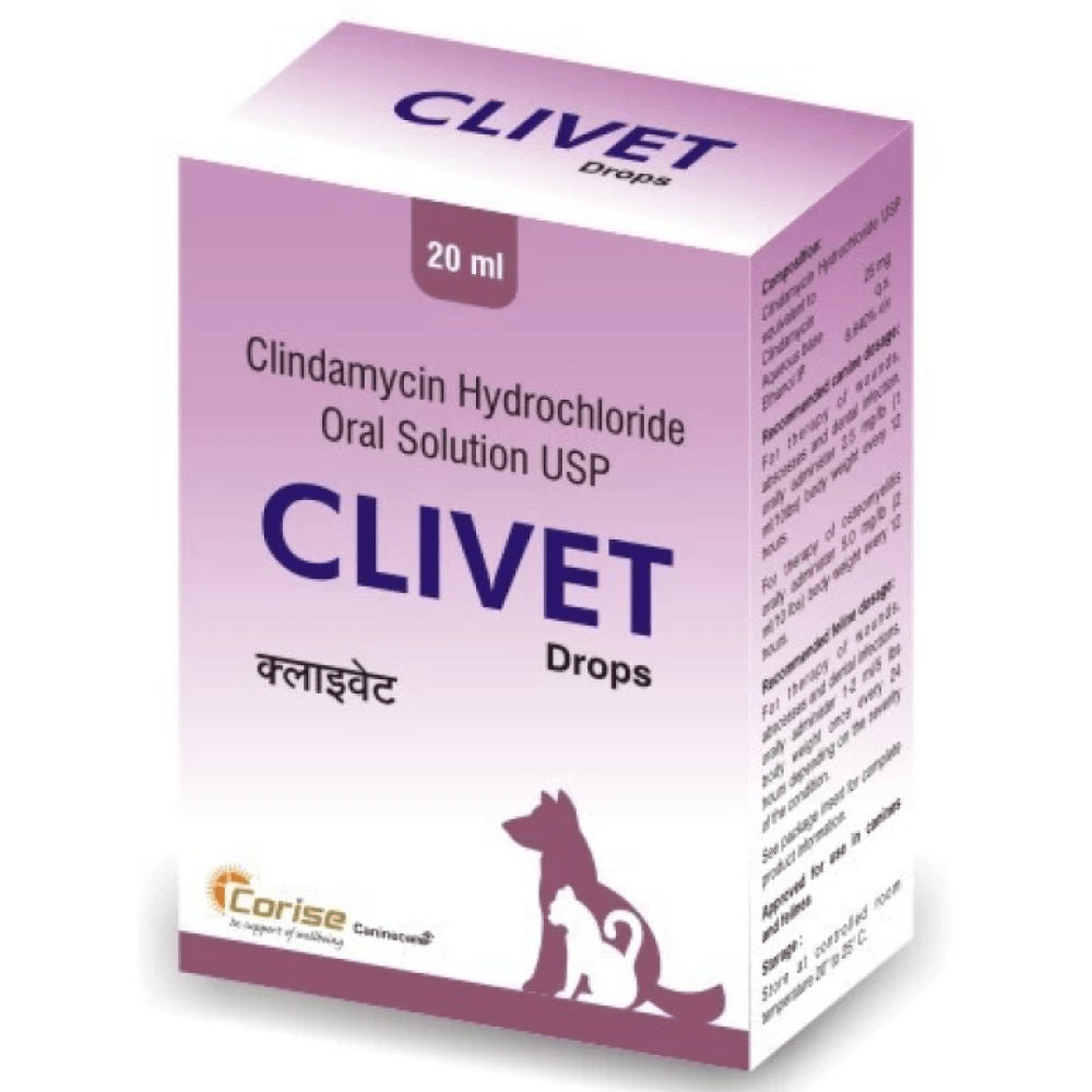 Corise Clivet Suspension - Image 2
