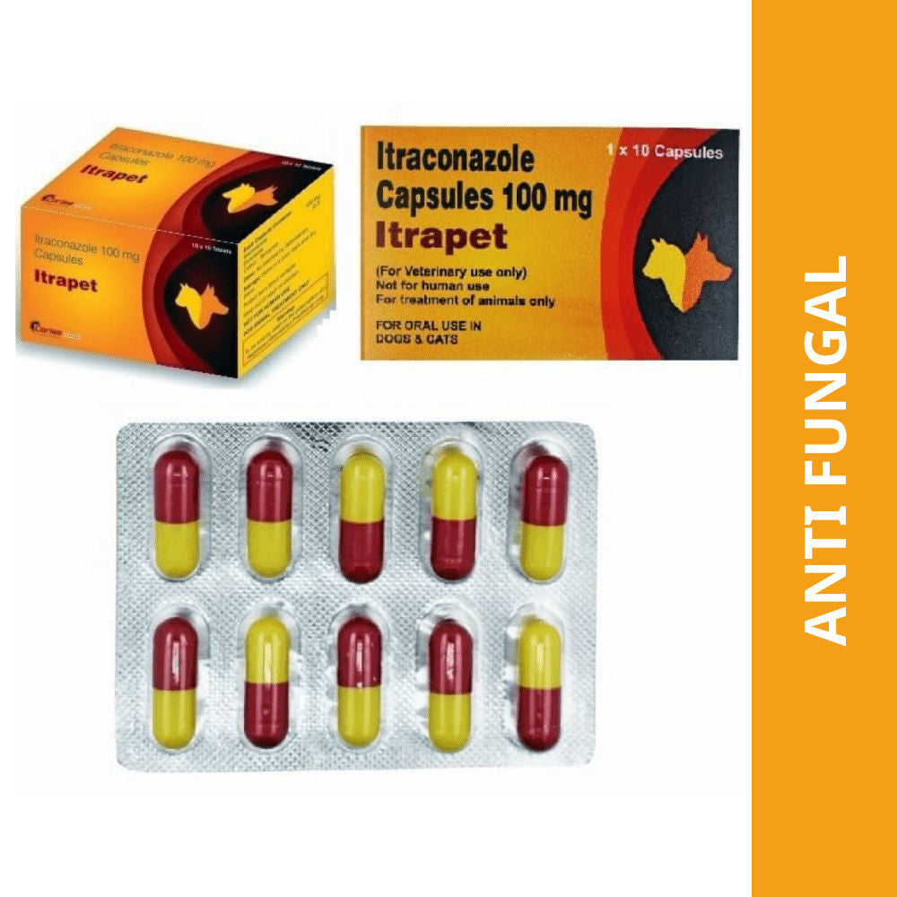 Corise Itrapet Tablet