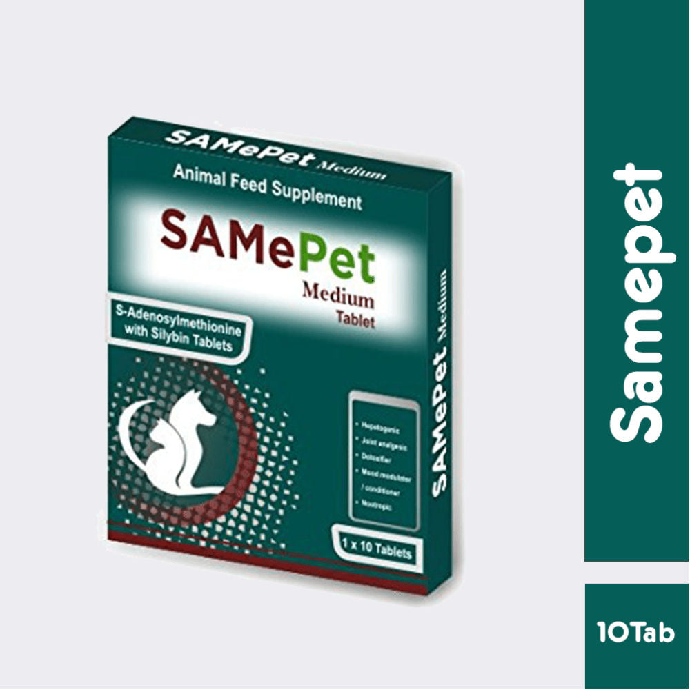 Corise SAMePet Tablet for Dogs & Cats — detail shot