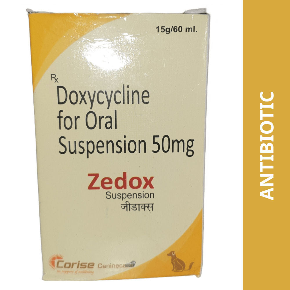 Corise Zedox Suspension