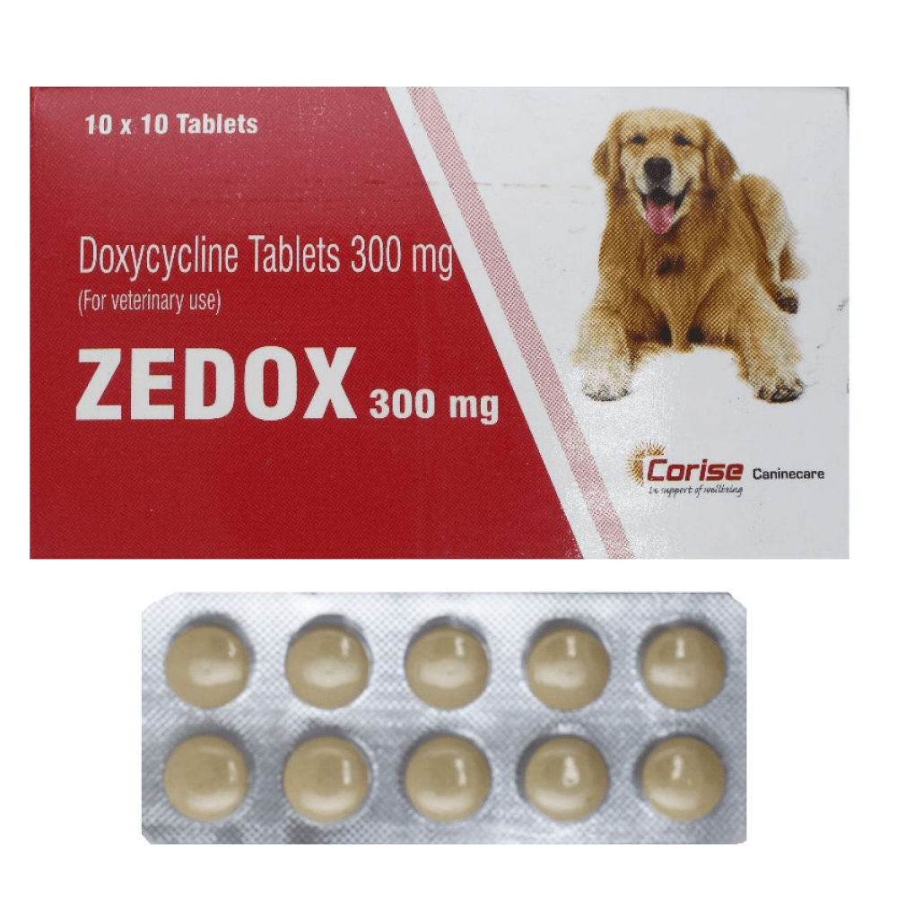 Corise Zedox Tablets (Doxycycline) for Dogs and Cats — detail shot