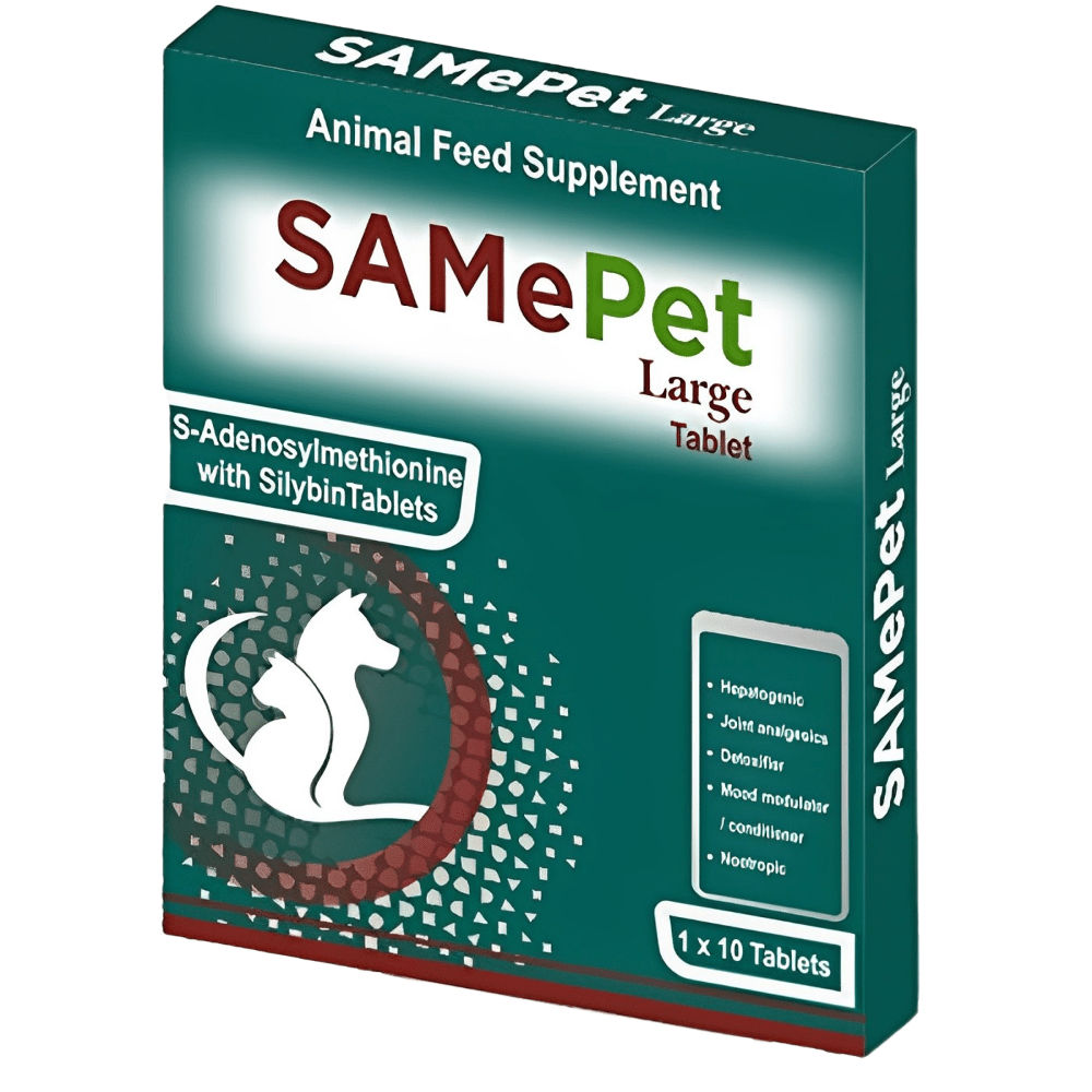 Corise SAMePet Tablet for Dogs & Cats — in use