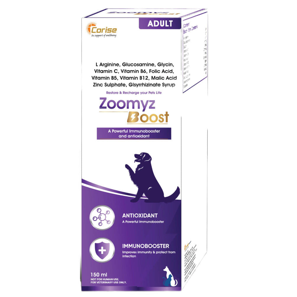 Corise Zoomyz Boost Syrup Dogs and Cats — back view